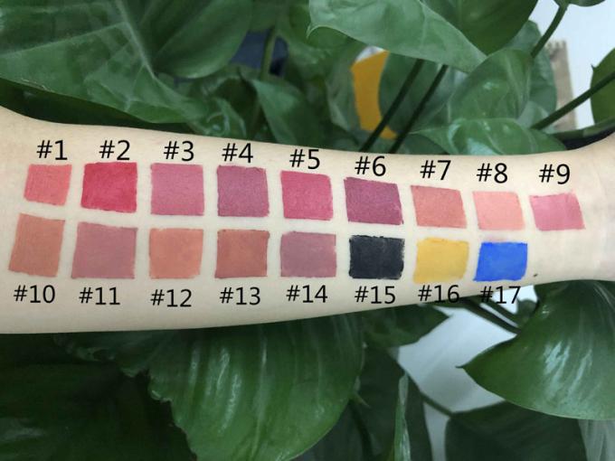Hoge Kleurrijke Dikke de Steenlippenstift van de Pigment Glanzendere Lipgloss 3 Jaar Houdbaarheid