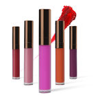 Beautiful Lip Makeup Products Liquid Lip Gloss 20 Colors Waterproof 3 Years Warranty