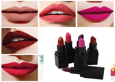 Lippenstift van de fluweel de Langdurige Steen Gemakkelijk aan Make-up voor Privé Etiket