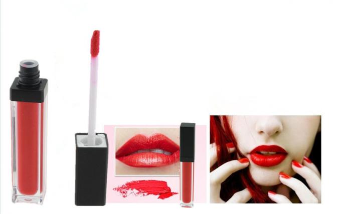 Hoge het Waterweerstand van de Pigment Glanzendere Lipgloss voor Vrouwelijke Modieus