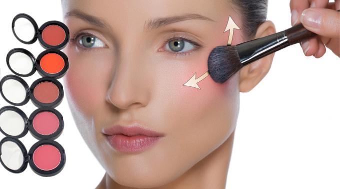 De privé Make-up van het Etiket Enige Gezicht bloost Eerlijke Schoonheidsmiddelen van de Palet de Compacte Manier