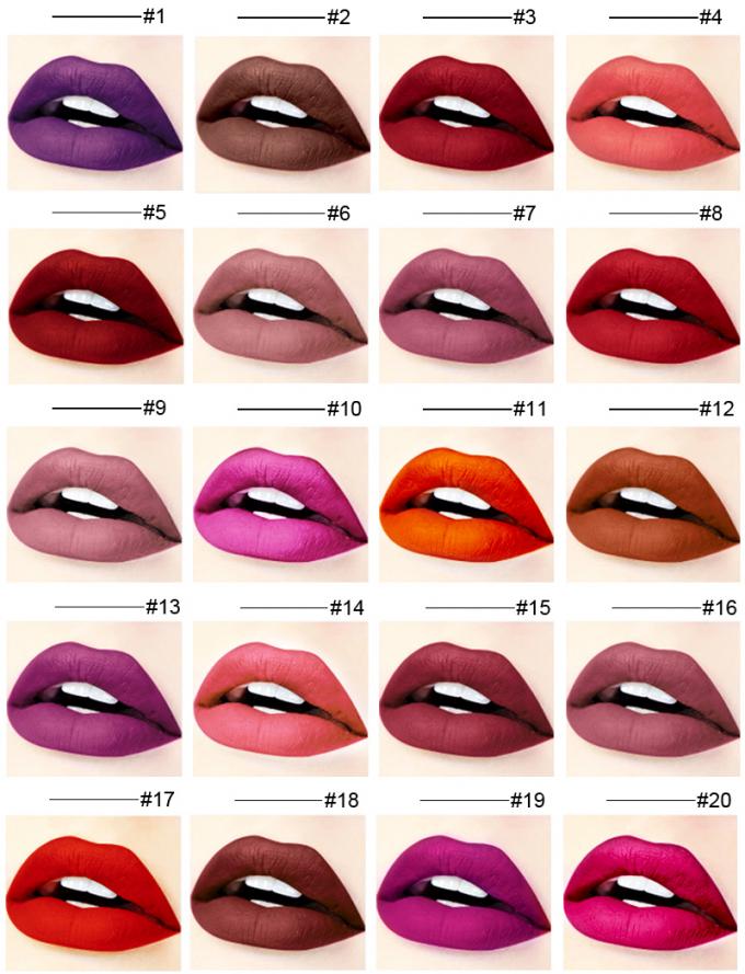 Romantische Vloeibare de Lippenstift Organische Buis 12 van de Schoonheids Kosmetische Waterdichte Steen Kleuren