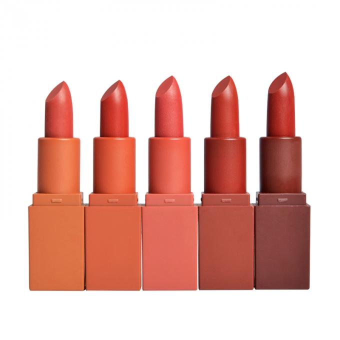 5 de kleuren kleurden hoogst Lippenstift, Waterdichte met pigment Make-up Langdurige Lipgloss